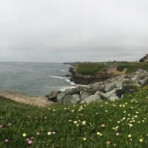 Meet your Posher, Tallulah